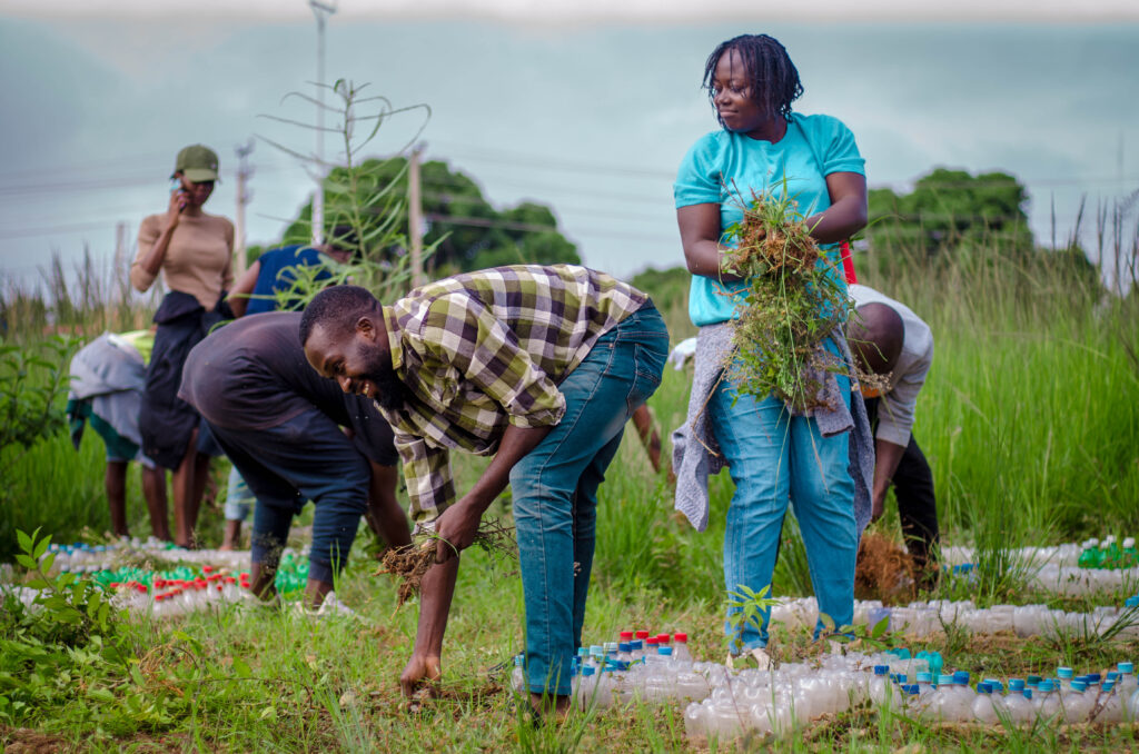 African Climate Storis- storyteller of the month - Akwa Felicity Asibi