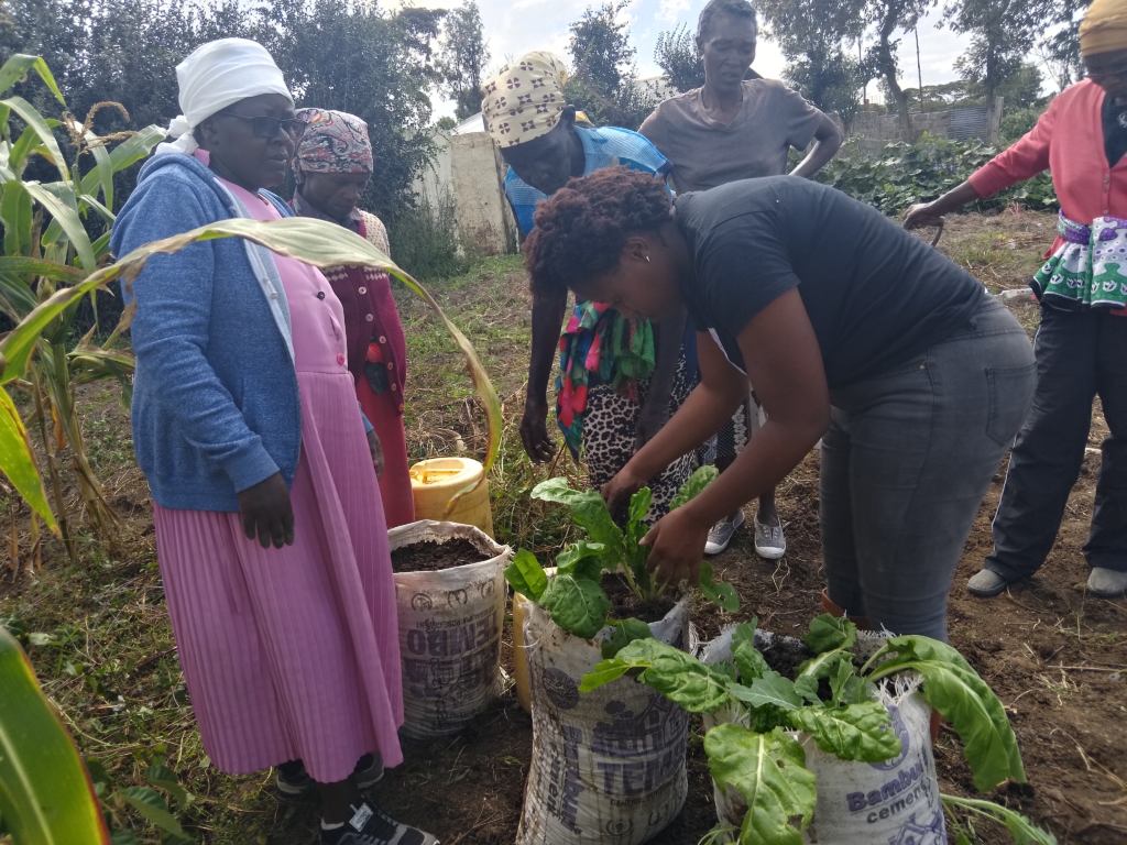 Mercy Kamonjo Wanjiku - sustainability expert and food security activist from Kenya.