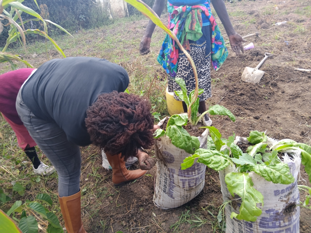 Mercy Kamonjo Wanjiku - Food Sustainability Activist